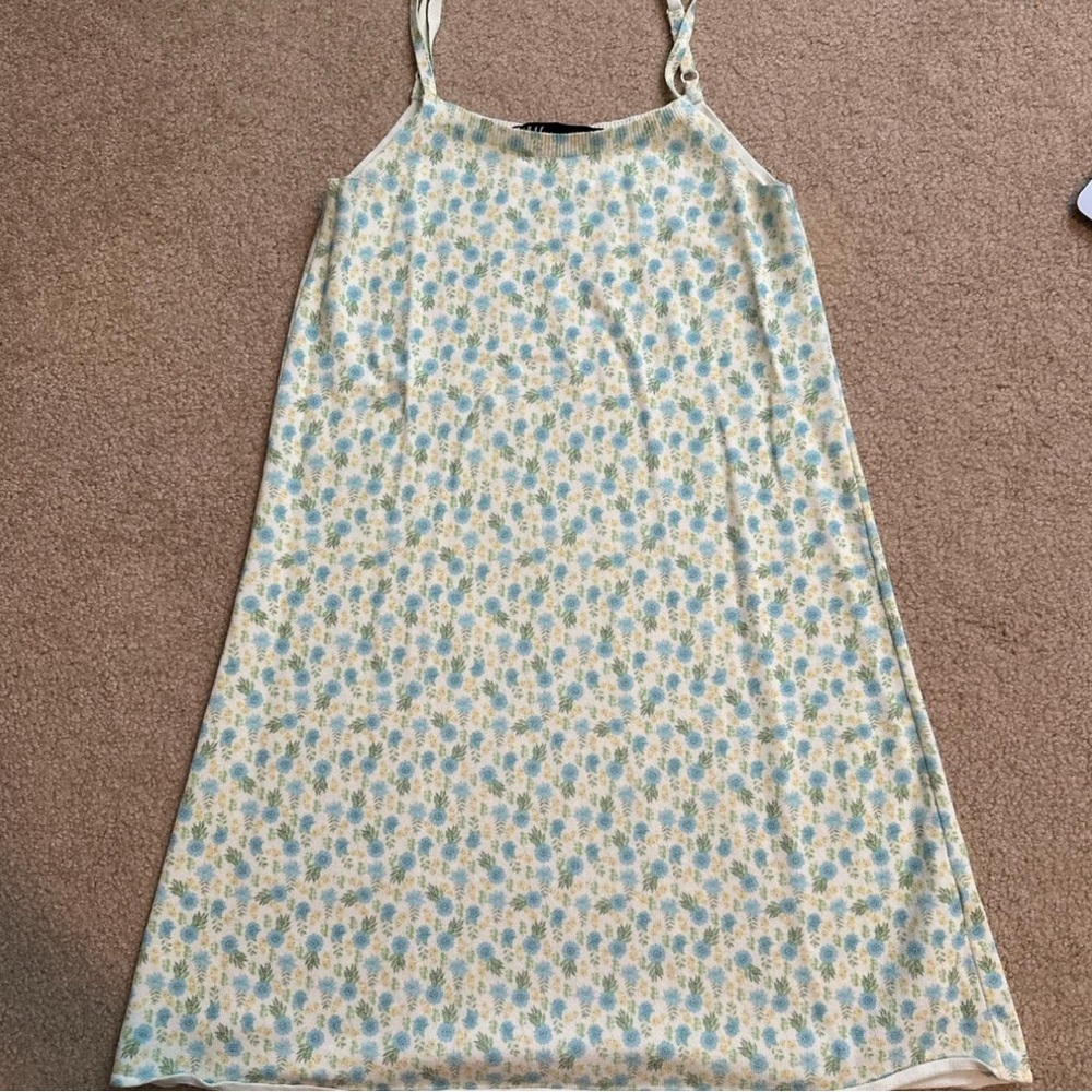 Zara Cream and Blue Floral Dress